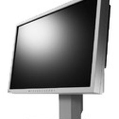 EIZO S2202W 55,9 cm (22″) 1680 x 1050 pixels Gris (Reconditionné)